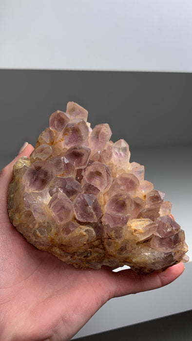 Amethyst with Yellow and Purple Phantoms - From Zambia