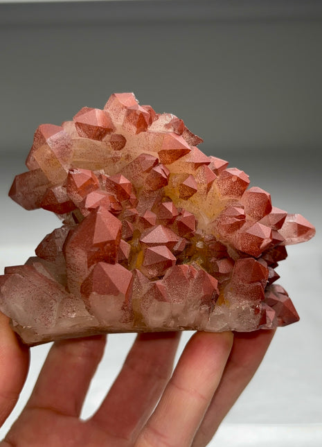 New arrival ! Red Passion Quartz