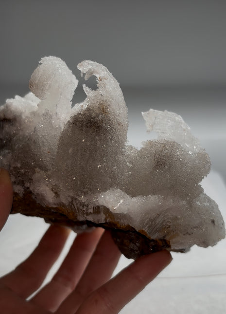 Magical ! Rams Horn Selenite on Matrix