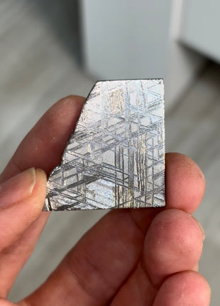 Muonionalusta Meteorite ☄️