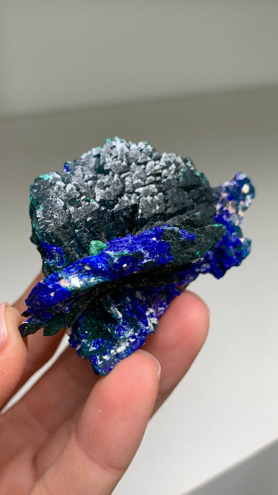 Recordkeepers ! Blue Azurite with Malachite - From Milpillas, Mexico