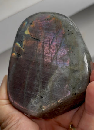 Incredibly Colorful Labradorite PM0556