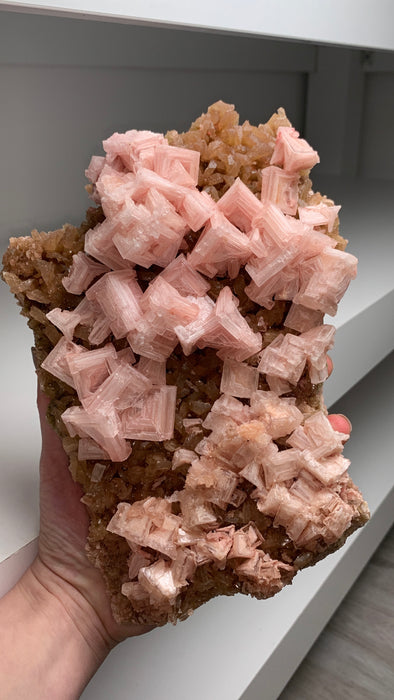 Our Finest ! Pink Halite with Trona - from Owens Lake, California