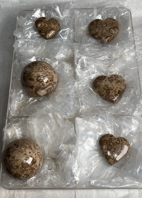 6 Pieces ! Wood Schalenblende Lot