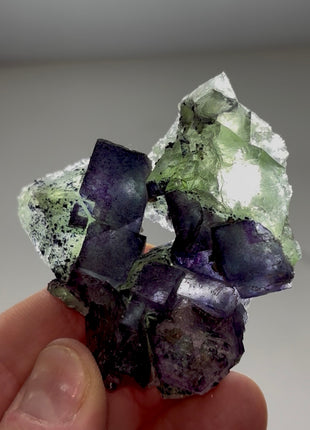 Green and Blue-Purple Secondary Fluorite PM0444