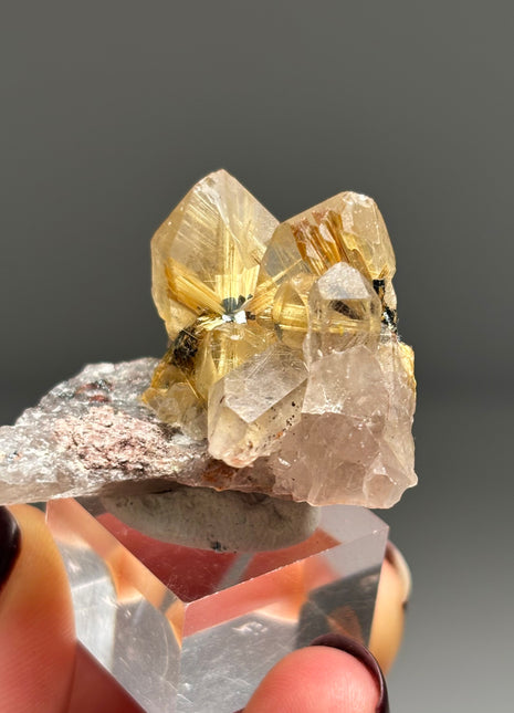 Quartz with Rutile Star - from Novo Horizonte