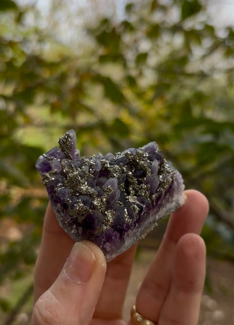 Wow ! Amethyst with Pyrite