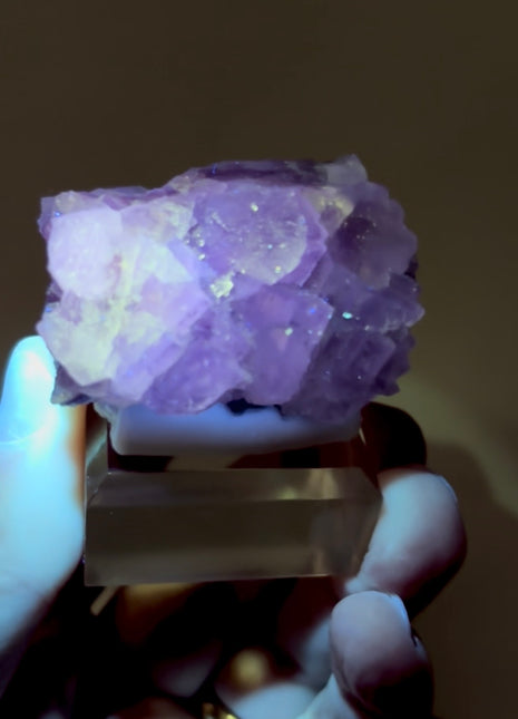 New Arrival ! Galaxy Fluorite