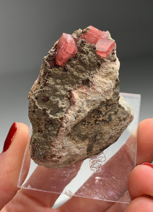 Pink Rhodocrosite - Collection # 059