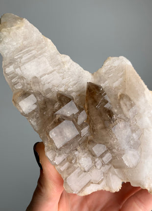 Wow ! Elestial Smoky Quartz with White Quartz - From Namibia