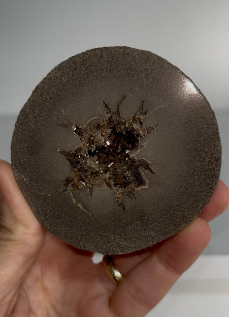 Septarian Barite Geode from France