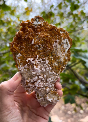 Wulfenite with Calcite from Slovenia Collection # 626