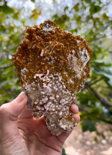 Wulfenite with Calcite from Slovenia Collection # 626