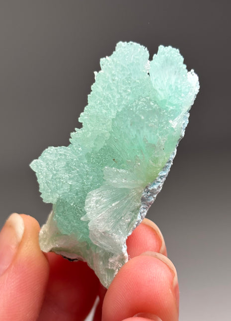 Vibrant Blue Aragonite