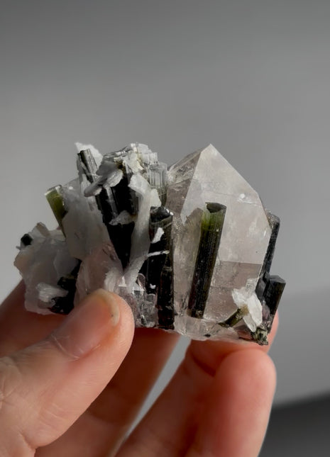 Green Cap Tourmaline with Quartz and Cleavelandite PM1428