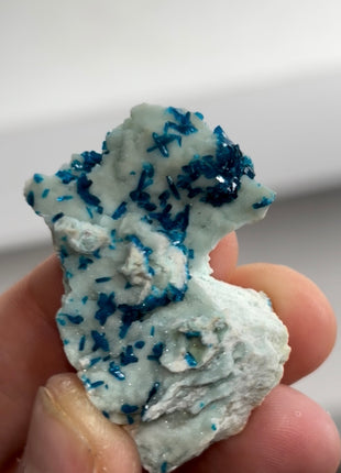 New Arrival ! Blue Veszelyite with Quartz Specimen PM0382