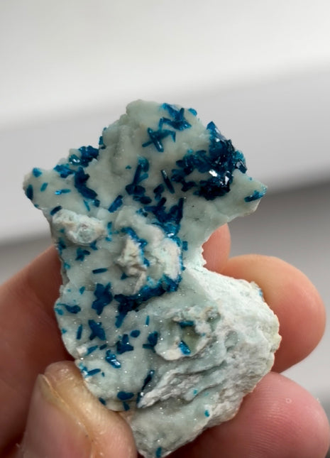 New Arrival ! Blue Veszelyite with Quartz Specimen PM0382