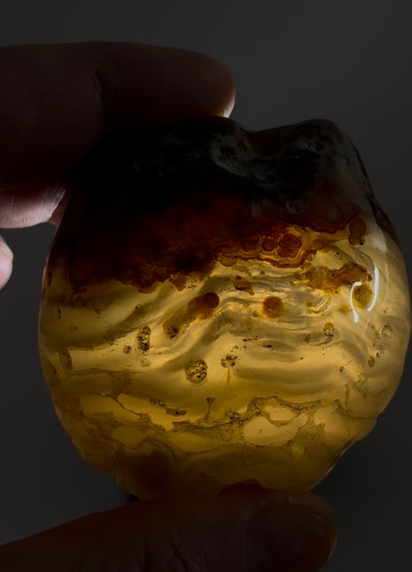 Rare Enhydro Agate PM1010