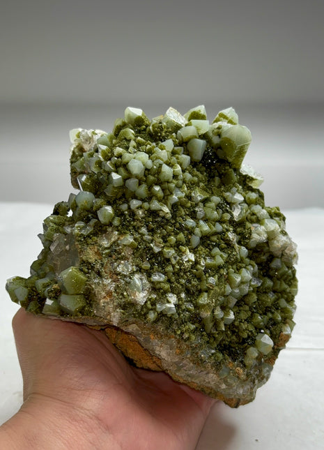 Rare ! Druzy Green Epidote with Quartz