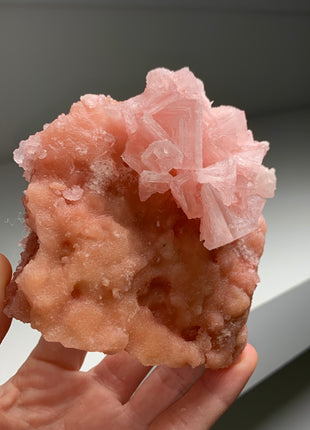 Pink Halite with Great Crystallization - from Searles Lake, California DWS