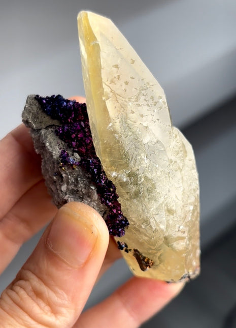 Golden Dragon Calcite with Chalcopyrite PM1349