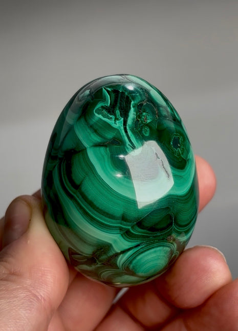 Green Malachite Egg from Congo PM1162