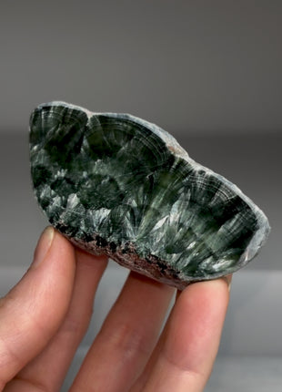 High Grade Green Seraphinite