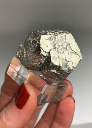 Pentadodecahedral Pyrite
from Elba, Italy Collection # 128