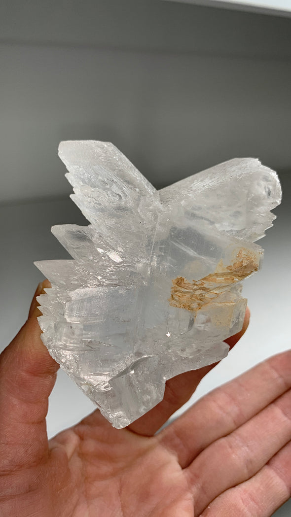Fishtail Selenite From Mexico