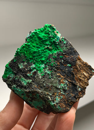 Vibrant Green Conichalcite ! From Spain