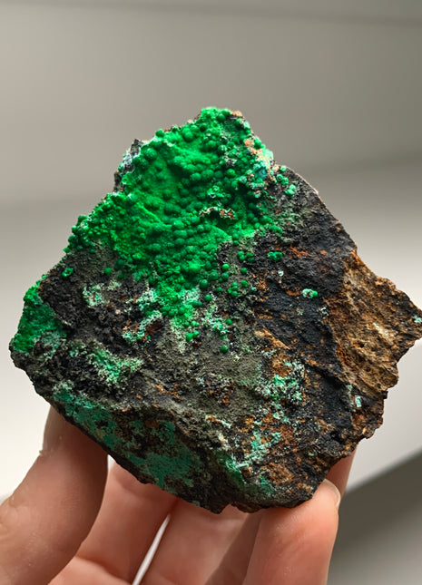 Vibrant Green Conichalcite ! From Spain