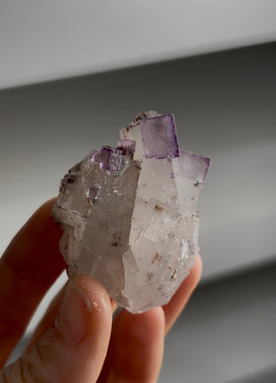 New ! Two Generation Fluorite Specimen PM1267