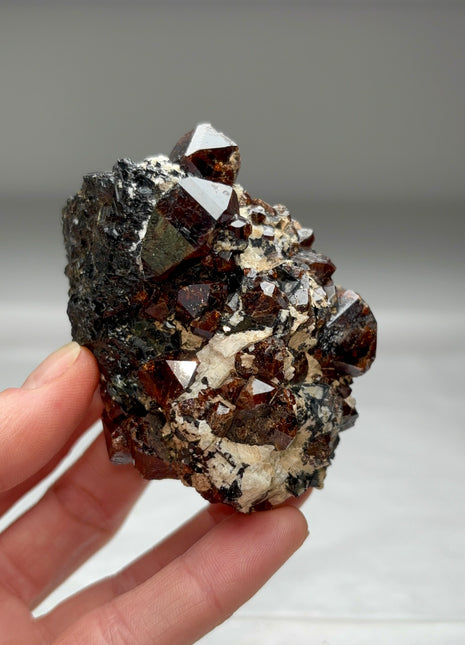 Red Zircon from Norway Collection # 479