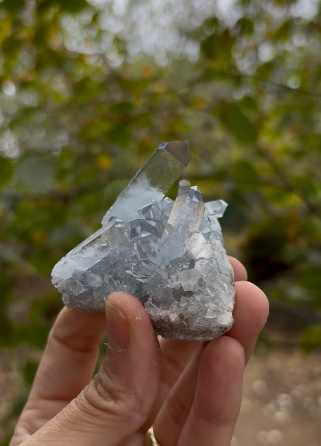 Sky Blue Celestite 💎