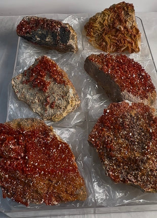 6 Piece Lot ! High Grade Red Vanadinite Specimens