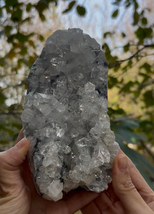 Brilliant Apophyllite Crystals ! Special Price 💥