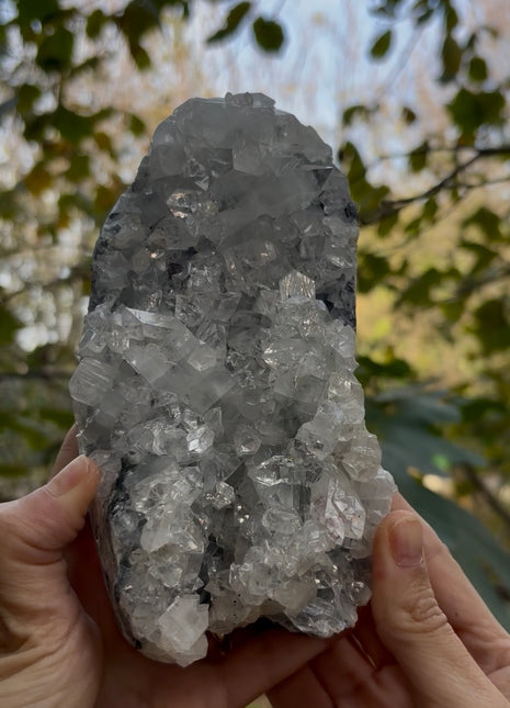 Brilliant Apophyllite Crystals ! Special Price 💥