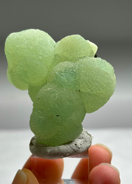 Apple Green Prehnite with Epidote - From Mali
