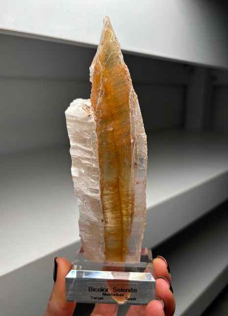 Icy Golden Selenite from Spain