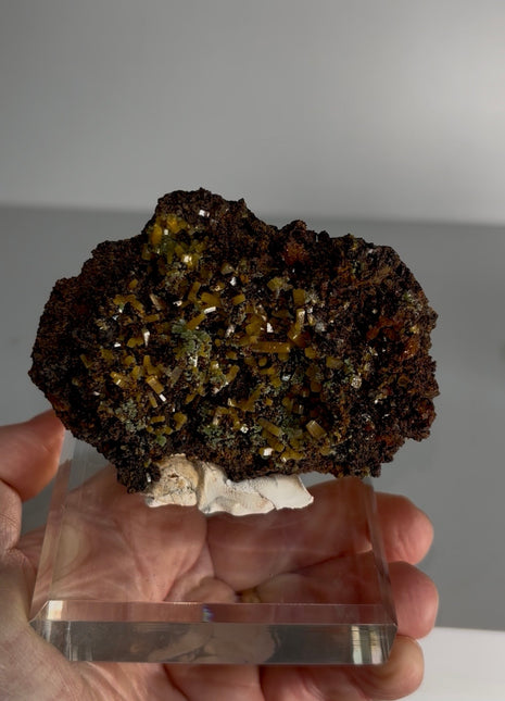 Wulfenite with Mimetite Specimen