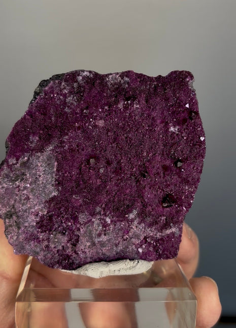 Purple Red Kammererite Specimen