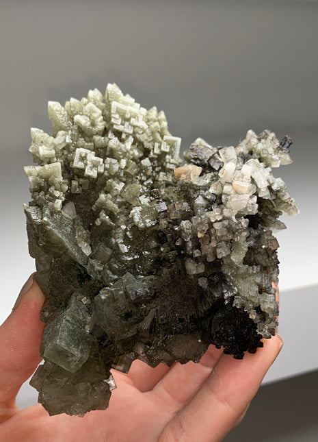 Unusual ! Skeletal Green Halite with Tolbachite