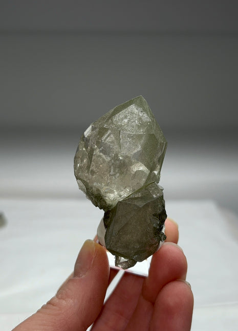 Green Chlorite Quartz - From Chamonix, French Alps