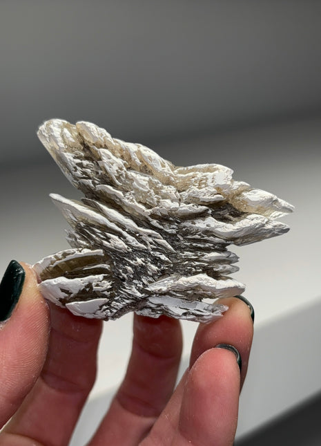 Snowy 🌲 ❄️ Selenite - from Germany