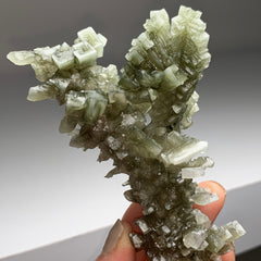 Collection image for: Skeletal Halite with Tolbachite