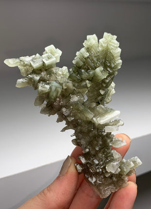 Unusual ! Skeletal Green Halite with Tolbachite