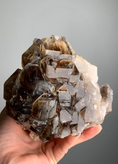 Lustrous Elestial Smoky Quartz on White Quartz - From Namibia