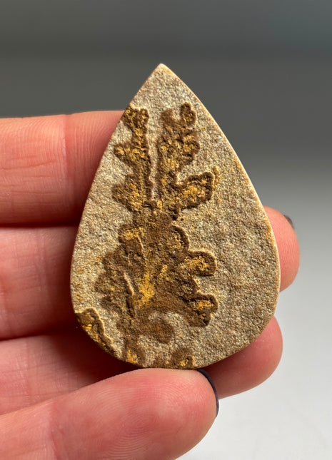 Dendritic Flower on Limestone from Germany