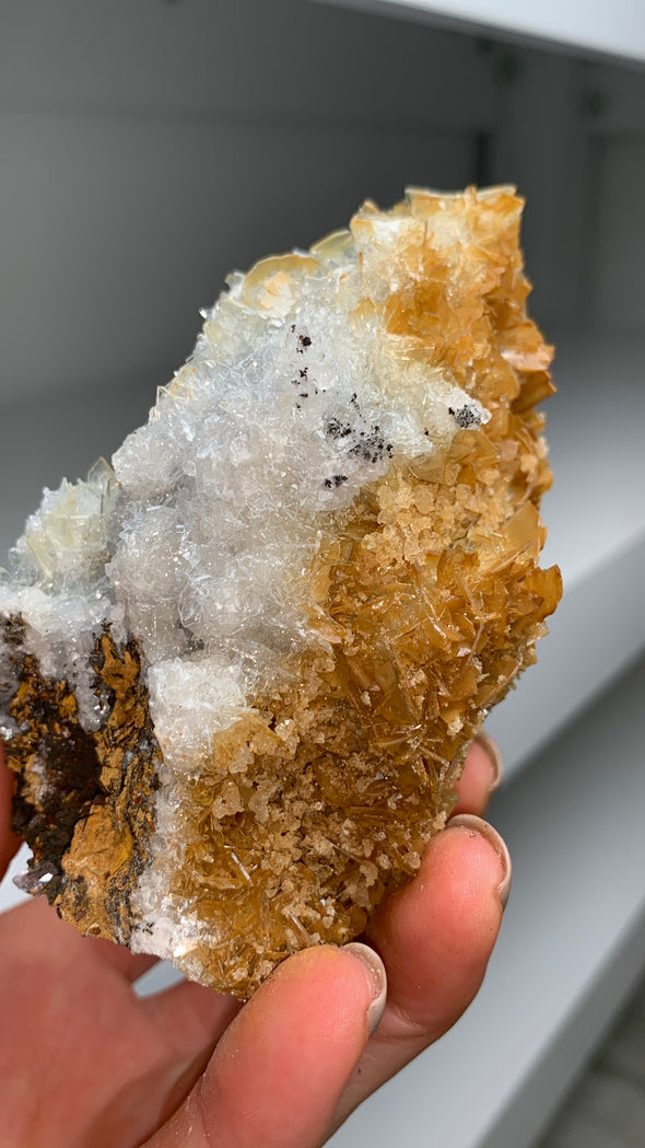Wow Gemmy Golden White Bicolor Barite - From Morocco