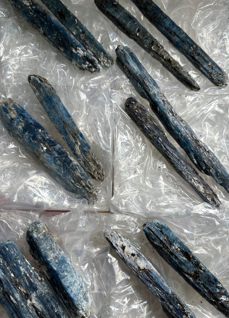 XL Size Blue Kyanite with Mica - From Zambia - 12 Pieces